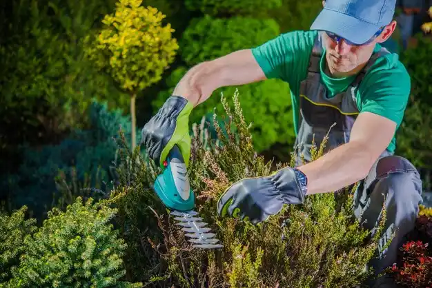 landscaping services Paducah